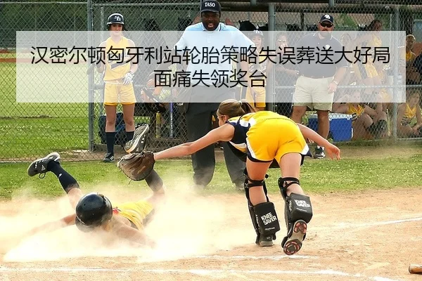 汉密尔顿匈牙利站轮胎策略失误葬送大好局面痛失领奖台